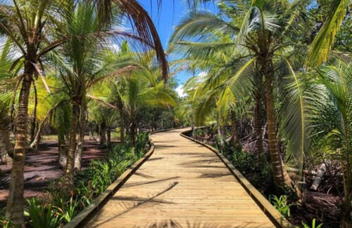 Tierra Oscura Hotel | NAYARA Bocas del Toro