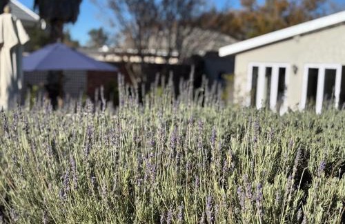 Komani Bed & Breakfast | Ndaba Golf Lodge & Hello Beautiful Day Spa