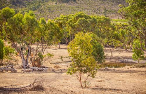 Emu Flat Cabin | Neagles Retreat Villas