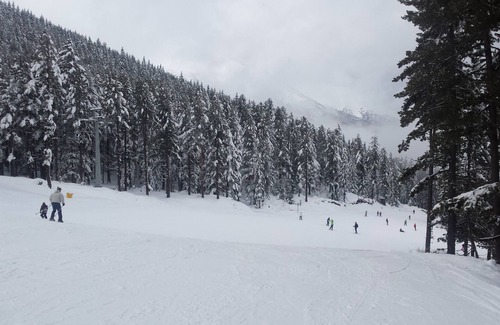 Dolno Draglishte Ski Chalet | near Bansko ski resort, in the mountains