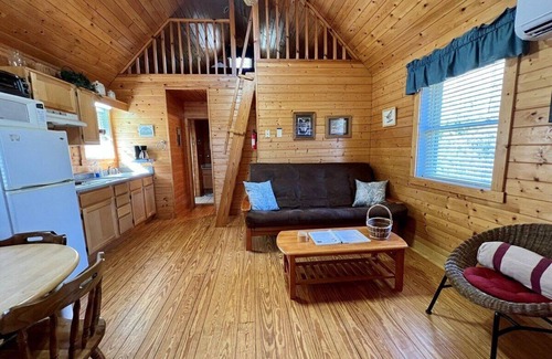 Laurel Springs Cabin | Near Blue Ridge Parkway, Pet Friendly Cabin w/WIFI & Pond Views, Gas Frpl