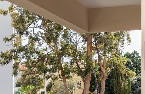 Santa Maria Maior Apartment | Near Funchal's Old Town - Santiago House