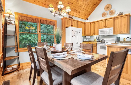 Sautee Nacoochee Cabin | Near Helen Hot Tub Fire Pit Outdoor Movies