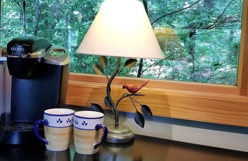 Hendersonville House | Near hiking, Brevard, & HVL; Quiet, convenient with MTN VIEWS
