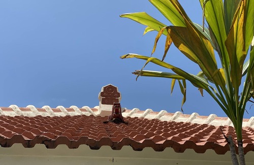 Nago House | Near Kouri Island Okinawa old Folk House 50 MAX 5 People