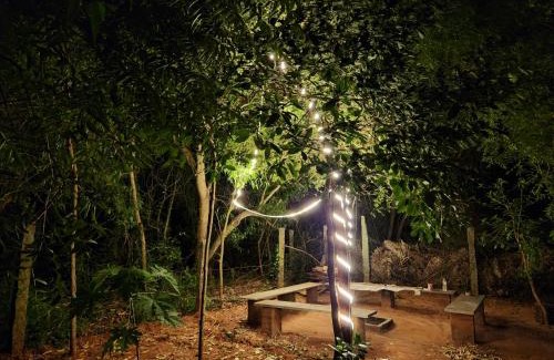 Bommayapalayam House | Nebula Nest Cafe & Hostel