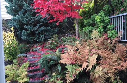 Regional District of Nanaimo House | NeckPoint Treasure