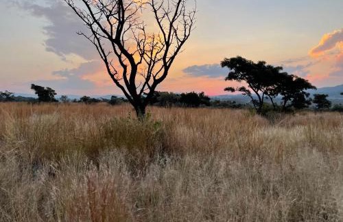 Buffelspoort Cabin | Nectar Game Lodge
