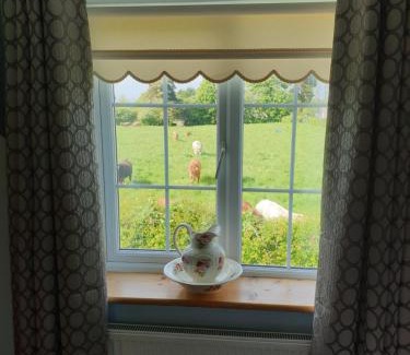 Kilcogy Bed & Breakfast | Nellies Cottage B&B