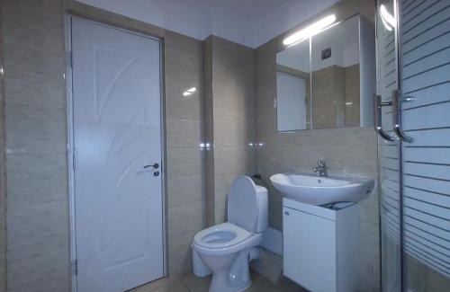 Pucioasa Apartment | Nelly's Home