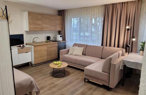 Jekabpils Apartment | Nelly's Suite
