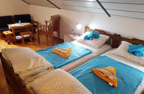 Donji Milanovac House | Nena & Rale Rooms