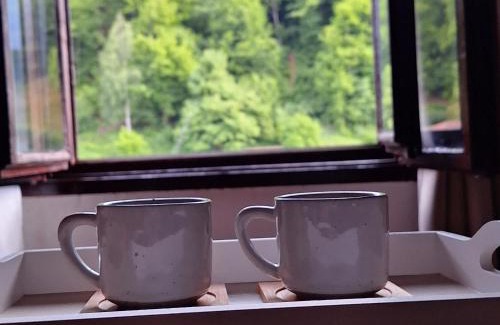 Mojkovac Apartment | Nest for rest
