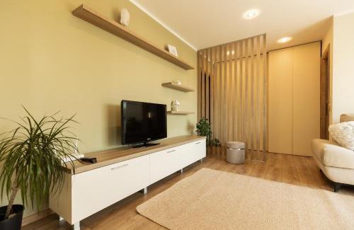 Baia Mare Apartment | Nest Inn Honey Apartment