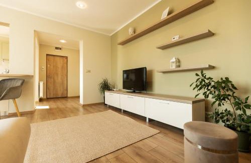 Baia Mare Apartment | Nest Inn Honey Apartment