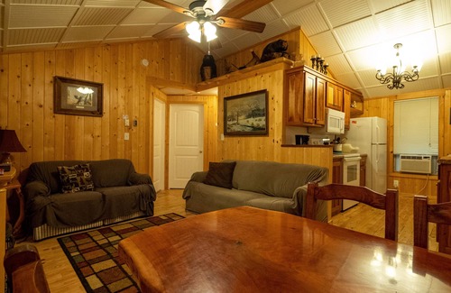 Penrose Cottage | Nestled on Stream - Hot Tub - Grill - Fireplace - Fenced - WiFi - Pets OK