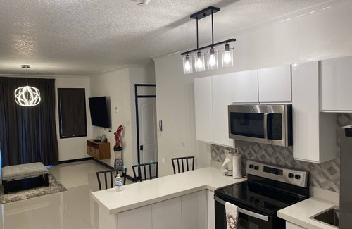 New Kingston Apartment | Nesty Place At New Kingston Jamaica