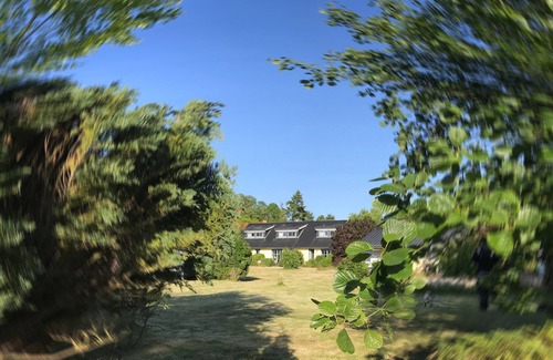 Tewel House | Neu! Ferienhaus "bug" Urlaub mit Hund!