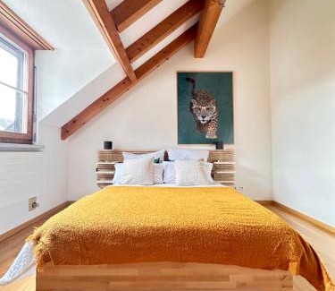 Winterthur Apartment | Neu! Gemütliche 2,5 Zimmer Wohnung in Winterthur