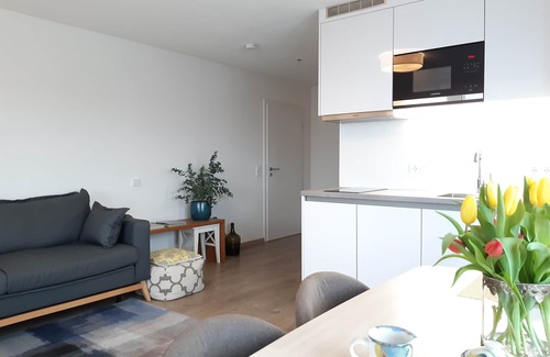 Rettenbach a.Auerberg Apartment | Neues Boutique Apartment Nähe Füssen Allgäu
