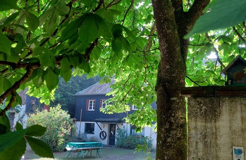 Immerath Apartment | Neumühle vacation apartment with roof terrace, located in the Üßbachtal valley in the nature reserve