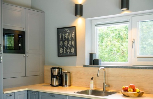 Ballum House | Neuws Holidayhome Panda with terrace on south, near woods