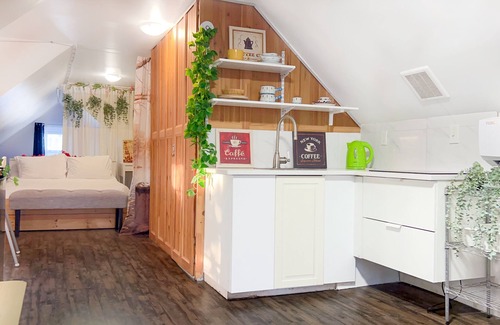 East Flushing Apartment | NEW!1000 sf Studio Loft! w/Access to an Outdoor Kitchen Patio & Rooftop Terrace