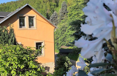 Pfaffendorf Apartment | NEW 2018 fully renovated apartment right on the famous Malerweg