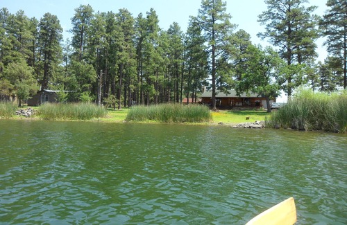 Pinetop-Lakeside Cabin | NEW! 4 Acre Lakefront Cabin in the Tall Pines