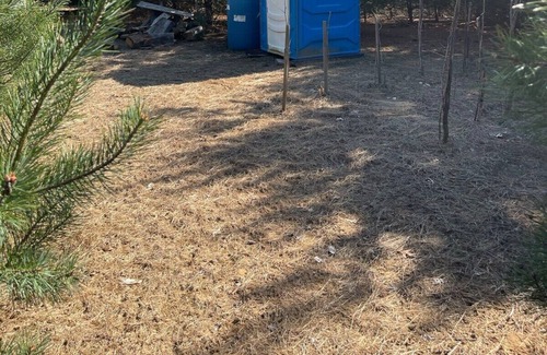 Langton Apartment | New All Season Bunkie! unplug & relax