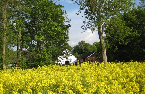 Cappel Apartment | New apartment in the old farmhouse