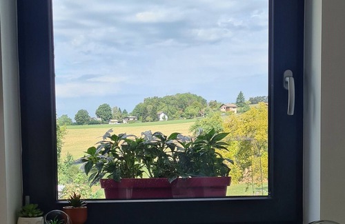 Alby-sur-Cheran Apartment | New apartment in the countryside