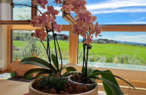 Wangen im Allgaeu Apartment | New apartment on the Haldershof