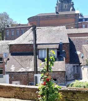 Avesnes-sur-Helpe Apartment | New appartement nature cœur de ville