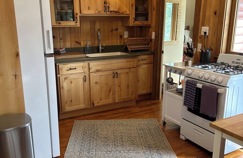 Conifer Cabin | New! Aspen turning! 1 hr from DIA! Gas firepit & Wifi
