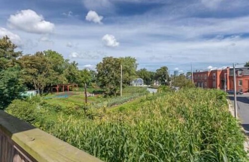 Dudley - Brunswick King Condo | NEW! Boston Condo Near MBTA, 3 Mi to Fenway! (U2)