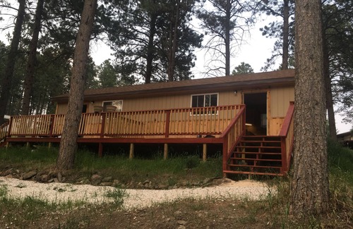Custer Cabin | New cabin 1 with rent a car available. In the forest, hills, fresh air! Super.