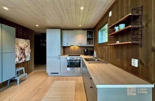 Svingvoll House | New cabin Vestlia Skeikampen ski-in/out X-skiing