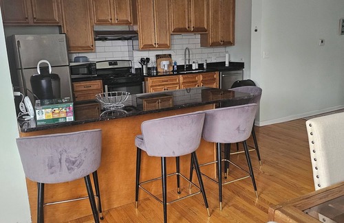 Canaryville Apartment | New City Retreat - 10 min from Downtown