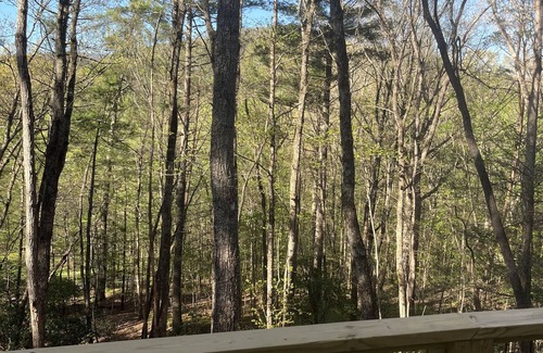 Cleveland Cottage | New Construction Modern Mountain Cabin close to Helen and Dahlonega