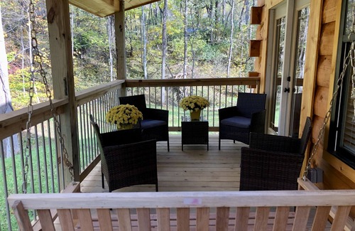 Damascus Cabin | NEW! COZY 6 Guest Cabin in Damascus, VA-CLOSE to Creeper Trial! PET FRIENDLY