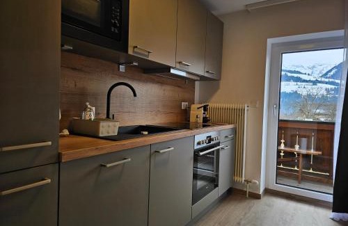 Assachberg Apartment | New, cozy retreat, 300 m to ski bus in Schladming Region