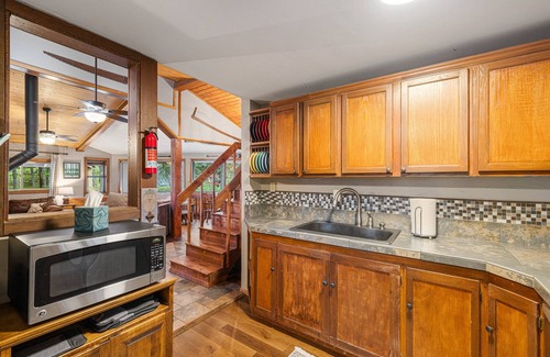 McCall House | New! Dew Drop Inn - Pet Friendly, 5-min walk to river access