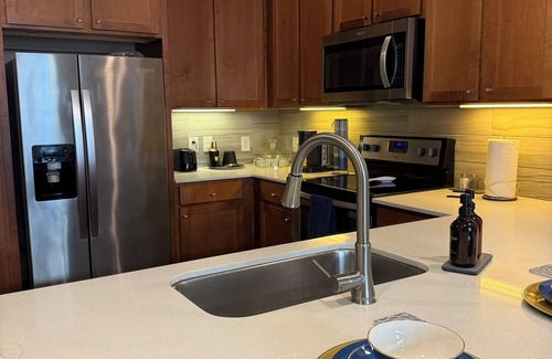 Central Business District Condo | New Downtown! Luxury 1-bedroom condo with AC, WiFi in delightful Houston