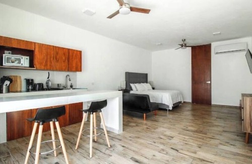 Colonia Andres Apartment | NEW Downtown Studio Cozumel
