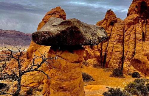 Moab South Valley House | New Exclusive Retreats Desert Vista Heated Pool