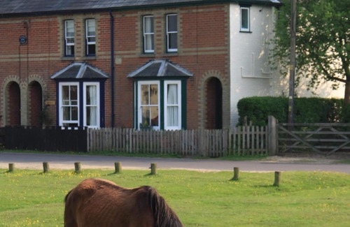 New Forest District Cottage | New Forest Cottage overlooking Green where ponies & forest animals often graze