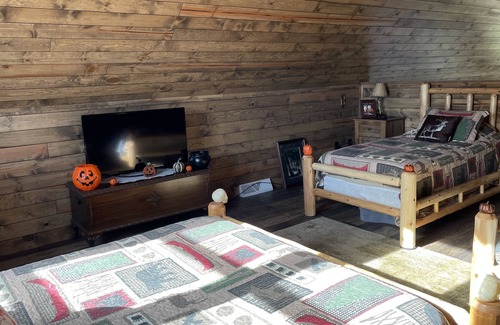 Custer Cabin | NEW! 'Hidden Wonder'—15 Min. to SentryWorld Golf Course!