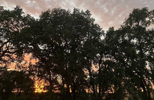 Ione House | New Home - Castle Oaks Golf Club - Green Belt Views