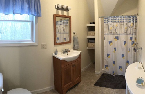 Brighton Apartment | New island pond apartment direct trail access
